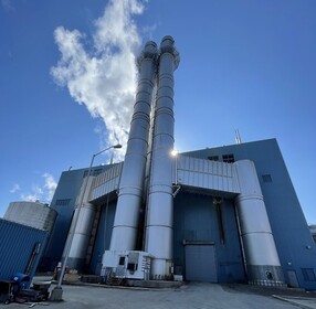150 MW COGEN PLANT FOR SALE